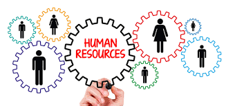 1° Progetto (Leadership, risorse Umane e metodologie formative)